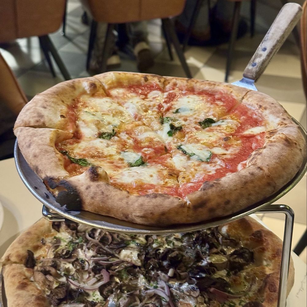 Sonoma Pizza Co. - Pizza Near Me - Forestville, California Sonoma Pizza Co. - Pizza Near Me - Forestville, California