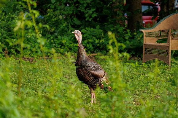 Plan Bee Farm Brewery by null