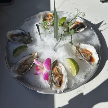 Shorebird - Tin oysters - Breakfast & Brunch Near Me - Sedona, Arizona Shorebird - Tin oysters - Breakfast & Brunch Near Me - Sedona, Arizona