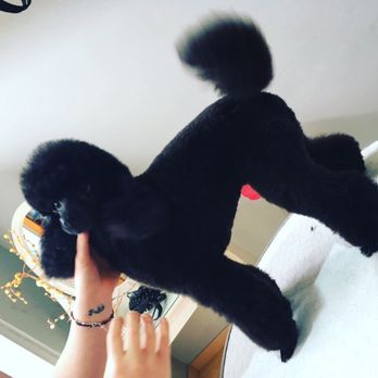 Il Nido - Pet Groomers Near Me - Airola, BN
