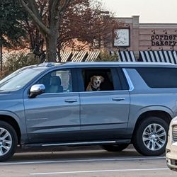Avis Car Rental - 3 tier upgrade from Standard SUV to Premium SUV, we appreciated it, but probably not for most people with the huge drop in fuel mileage