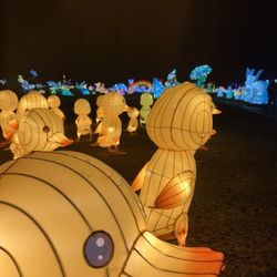 The SeaLight Festival - Ducks