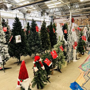 Walmart - Christmas trees - Grocery Near Me - Palatine, Illinois