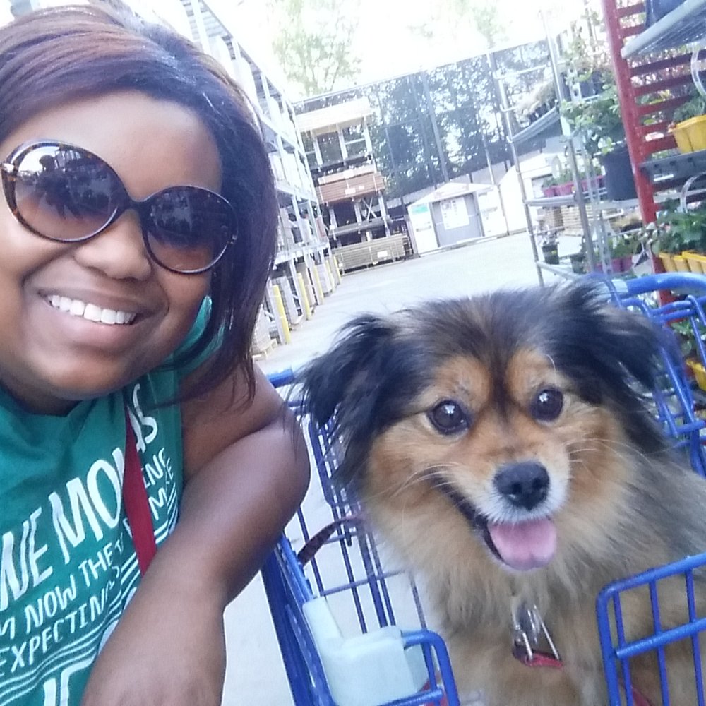 Lowes - Green thumbs and paws! - Hardware Stores Near Me - Belmont, North Carolina Lowes - Green thumbs and paws! - Hardware Stores Near Me - Belmont, North Carolina