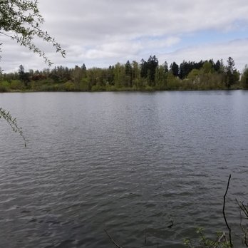 Fort Steilacoom Park - Enjoy the looped path around the lake! - Parks Near Me - Lakewood, Washington Fort Steilacoom Park - Enjoy the looped path around the lake! - Parks Near Me - Lakewood, Washington