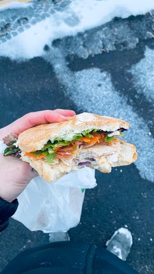 Casa Tropical by null