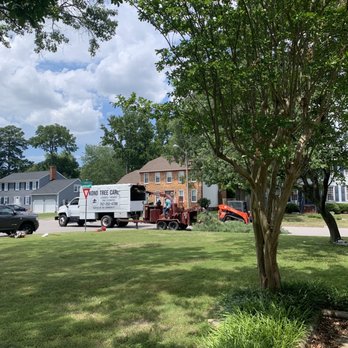 Kono Tree Care - Tree Services Near Me - Virginia Beach, Virginia Kono Tree Care - Tree Services Near Me - Virginia Beach, Virginia