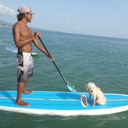 Surf Oso Negro