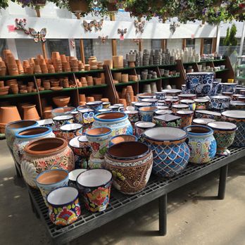 Carpinito Brothers - A colorful array of pots - Nurseries & Gardening Near Me - Kent, Washington Carpinito Brothers - A colorful array of pots - Nurseries & Gardening Near Me - Kent, Washington