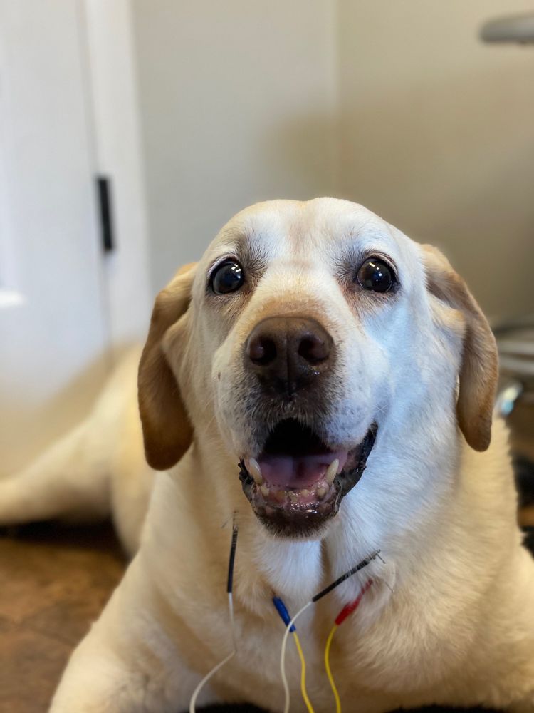 DR KENDRA POPE Updated August 2024 17 Reviews 252 Broad St, Red