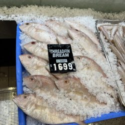 The Fish Market