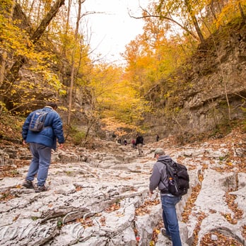 Walls of Jericho - The natural amphitheater of Walls of Jericho. - Hiking Near Me - Estillfork, Alabama Walls of Jericho - The natural amphitheater of Walls of Jericho. - Hiking Near Me - Estillfork, Alabama