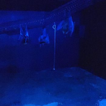 Metro Richmond Zoo - bats - Zoos Near Me - Moseley, Virginia