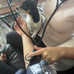 Viv's IVs - Taking my blood pressure