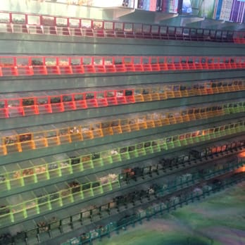 Soothe Your Soul - Gemstones & Minerals Near Me - Hermosa Beach, California