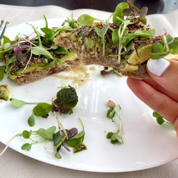 Skyhigh - Avocado toast - Bars Near Me - Philadelphia, Pennsylvania Skyhigh - Avocado toast - Bars Near Me - Philadelphia, Pennsylvania