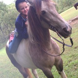 StoneRidge Stables - We also have Lucy to lease. Very calm, kid safe, love a lot of TLC, Kid Only Lease