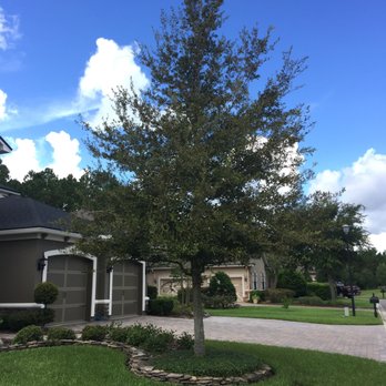 Bright Lawncare - a tree in front of a house - Pressure Washers Near Me Bright Lawncare - a tree in front of a house - Pressure Washers Near Me