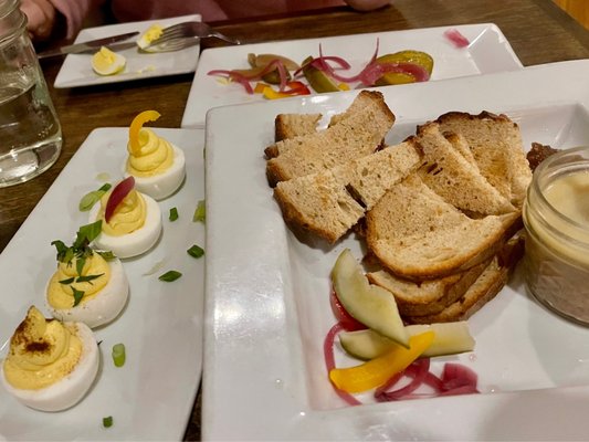 Pickled Owl by null