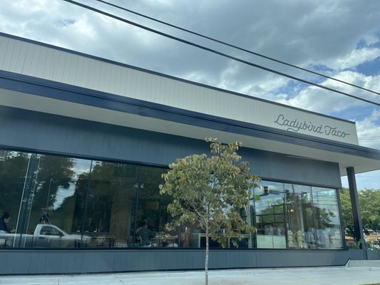 Ladybird Taco by null