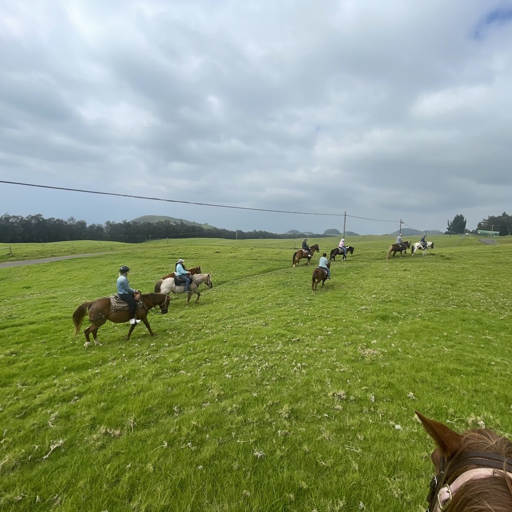 Na'alapa Stables - Beautiful landscape you ride though - Horseback Riding Near Me - Kamuela, Hawaii Na'alapa Stables - Beautiful landscape you ride though - Horseback Riding Near Me - Kamuela, Hawaii