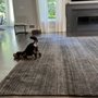 Photo of Premier Oriental Rug Cleaning