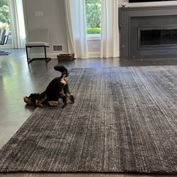 Premier Oriental Rug Cleaning - I love my beautiful, clean, fresh rug