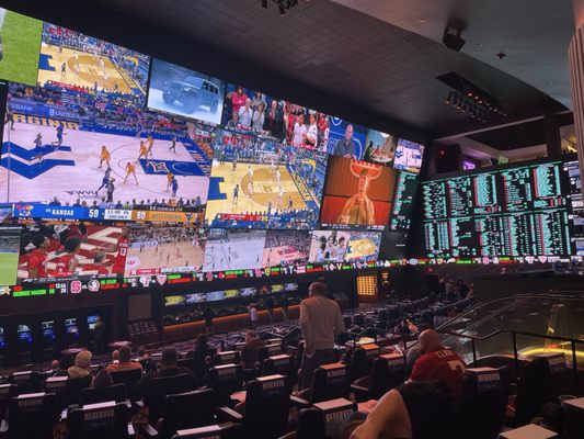 Circa Sportsbook by null