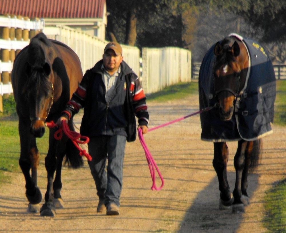 TWINWOOD EQUESTRIAN CENTER 11 Photos 34855 Fm 1093, Simonton, Texas