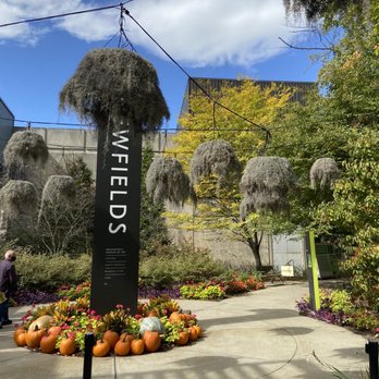 Harvest Nights at Newfields - Festivals Near Me - Indianapolis, Indiana