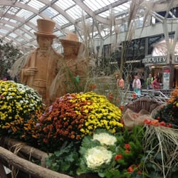 Wochenmarkt Nordwest
