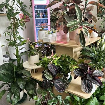 La Chula Cafe - Coffee & Tea Near Me - Pasadena, California