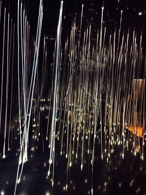 We The Curious by null