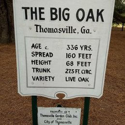 The age and dimensions of the tree.