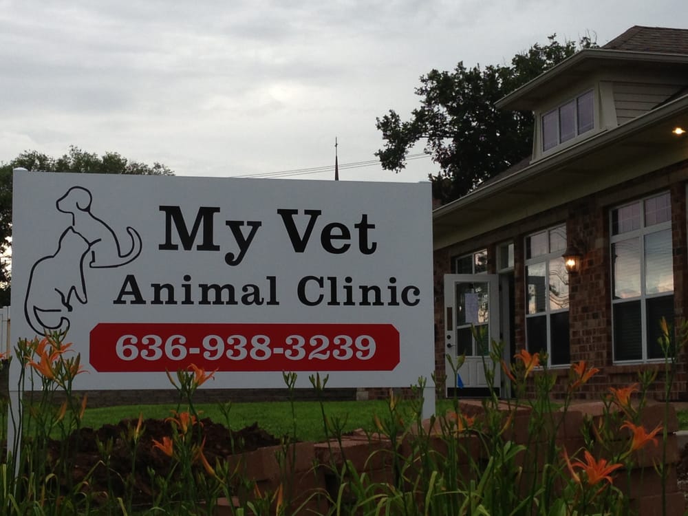 MY VET ANIMAL CLINIC Updated September 2024 13 E 2nd St, Eureka
