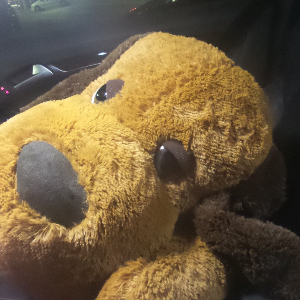 Ralphs - Look whos coming home with me :) lol - Grocery Near Me - Anaheim, California Ralphs - Look whos coming home with me :) lol - Grocery Near Me - Anaheim, California