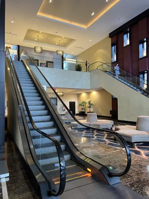 Hyatt Regency New Orleans by null