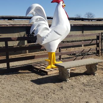 Maust's California Poultry - Farms Near Me - Chino, California Maust's California Poultry - Farms Near Me - Chino, California