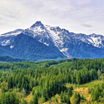 Hambira Homes - Real Estate Agents Near Me - Bothell, Washington