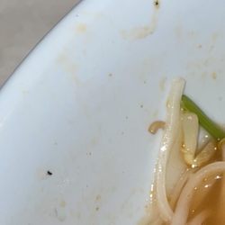 Pho Tai Restaurant - multiple bugs in 3 vegan pho dishes 04/09/23 6:25pm