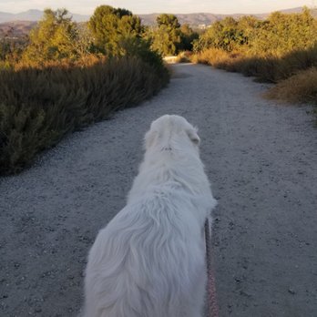 Panorama Nature Preserve - Gravel is everywhere, you wont find find dirt I think it hurts my dogs paws - Parks Near Me - Fullerton, California Panorama Nature Preserve - Gravel is everywhere, you wont find find dirt I think it hurts my dogs paws - Parks Near Me - Fullerton, California