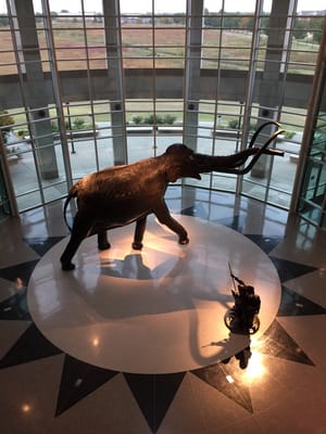 Sam Noble Oklahoma Museum of Natural History by null