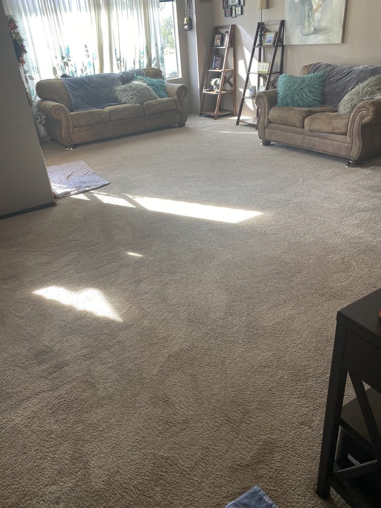 A1 CARPET CARE Updated September 2024 62 Photos & 128 Reviews 925