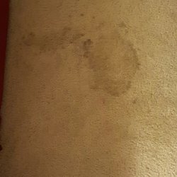 Barefoot Paradise Vacations - One of the many carpet stains. Bldg 1523 - Havens Community
