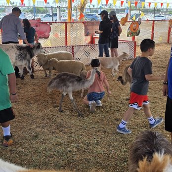 Commerce Pumpkin Patch by Taghavi Farms - Fun with the animals! - Pumpkin Patches Near Me - Commerce, California