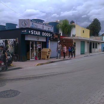 Star Dogs - Veterinarians Near Me - Cholula de Rivadavia, PUE Star Dogs - Veterinarians Near Me - Cholula de Rivadavia, PUE