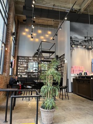 JOE & THE JUICE by null