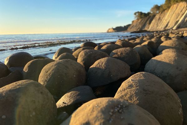 Bowling Ball Beach Trailhead by null