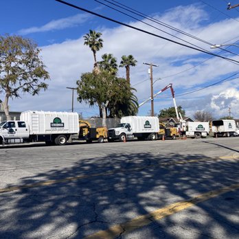 3D Tree Services, Inc. - arrival - Tree Services Near Me