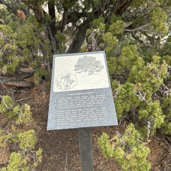 Joshua Tree National Park - Signage - Parks Near Me - Joshua Tree, California Joshua Tree National Park - Signage - Parks Near Me - Joshua Tree, California